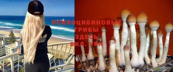 apvp Анжеро-Судженск