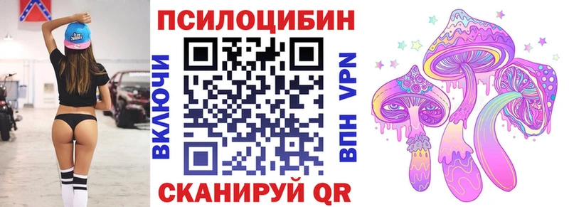 площадка формула  закладка  Ростов  Псилоцибиновые грибы мухоморы 